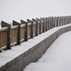 Выпавший снежок быстро преобразил облик серых улиц — newsvl.ru