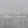 Снегопад, начавшийся редкими крупными хлопьями, со временем усилился — newsvl.ru