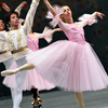 На сцену выйдут все артисты балетной труппы — newsvl.ru