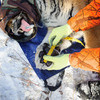 Эти тигры – по-настоящему дикие — newsvl.ru