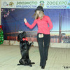Во Владивостоке с собаками танцуют уже четыре года — newsvl.ru