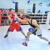 На чемпионаты боксеры продемонстрировали свои профессиональные навыки — newsvl.ru