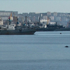 Опасаться возможности столкновения катера или корабля с морским животным в Амурском заливе не стоит — и киты, и касатки плавают очень быстро, а приближающийся шум мотора обнаруживают издалека — newsvl.ru