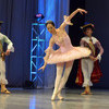 Артисты исполнили номера из известных российских и зарубежных балетов — newsvl.ru