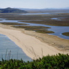 От устья реки Туманной до мыса "островок Фальшивый" берег ровный, низменный, вдоль него тянется длинный песчаный, не имеющий растительности пляж, длиной более 20 км — newsvl.ru