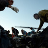 Неравнодушные  к окружающей среде владивостокцы провели «генеральную уборку» на мысе Ахлестышева — newsvl.ru