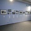 Во Владивостоке открылась выставка "Приморье в объективе Николая Назарова" — newsvl.ru