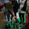 ...и ездовые собаки — newsvl.ru