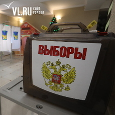 Из «ПраваНаВыборы» только Дмитрию Алексееву удалось попасть на избирательный участок