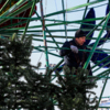 В мэрии обещают, что елка будет установлена уже в ближайшие дни — newsvl.ru