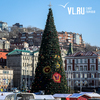 На центральной площади наконец установили главную новогоднюю елку Владивостока (ФОТО)