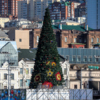 На центральной площади Владивостока появилась главная елка города — newsvl.ru