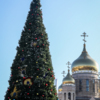 Установка новогодней красавицы в этом году затянулась — newsvl.ru