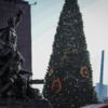 Изначально планировалось, что наряженная елка появится уже к 5 декабря — newsvl.ru