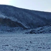 Реку в Хабаровском крае засыпало грунтом — местные жители уверены, что там упал метеорит (ФОТО; ВИДЕО)