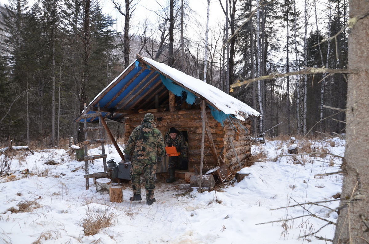 Дом зимовье Актру