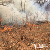 Пять лесных пожаров произошло в Приморье с начала года из-за малоснежной зимы