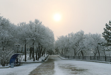 Прогноз погоды в Хабаровске на пятницу, 18 января