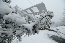 Трассы закрыты, аэропорт не работает: в Хабаровском крае сохраняются последствия циклона