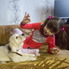 Владимир Путин подарил щенка золотистого ретривера девочке-аутисту из Приморья