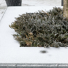 Уже на выходных этот снег растает — newsvl.ru