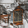 Сегодняшний едва выпавший снег - сильнейший во Владивостоке с начала зимы — newsvl.ru