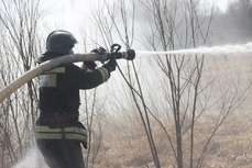 Более 90 палов сухой травы потушили краевые пожарные с начала огнеопасного сезона