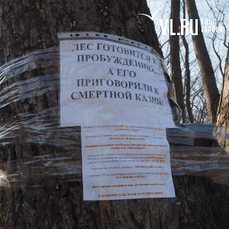 Лесу — не быть: жители Тихвинской рассказали об увеличении площади вырубки под предполагаемый детский сад 