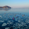 У выхода в открытое в море небольшие льдины есть, но лед ломают проходящие по этому маршруту буксиры — newsvl.ru