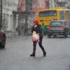 Далеко не все порадовались весеннему снегопаду — newsvl.ru