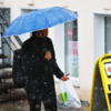 Хоть и не дождь, но зонтик спасает — newsvl.ru