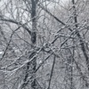 Хоть на улице и снег, пока еще не слишком холодно — newsvl.ru