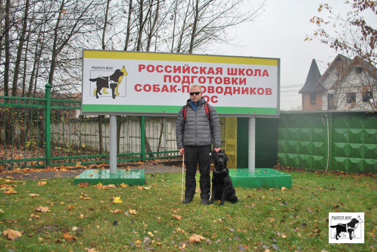 Незрячих хабаровчан обеспечили собаками-поводырями из Подмосковья (ФОТО;  ВИДЕО) — Новости Хабаровска