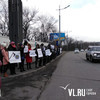 Ученые ДВО РАН с плакатами вышли на трассу, чтобы защитить земли Академгородка от застройщиков (ФОТО)