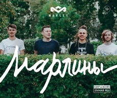 Владивостокские «Марлины» вернутся в Хабаровск спустя год