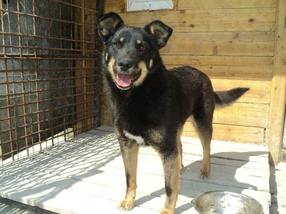 приют милосердие. обитель милосердия екатеринбург. приют милосердие. приют милосердие. солманское дом милосердия череповец.