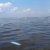 В море тоже можно наткнуться на предметы, оставленные отдыхающими — newsvl.ru