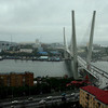 Город во власти циклона — довольно безрадостное зрелище — newsvl.ru