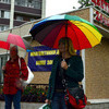 Сразу два "многоцветных" зонта в одном кадре! — newsvl.ru