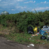 Стыдливо брошенный за кустики мусор — newsvl.ru