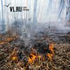 Размер субсидий на охрану лесов от пожаров на Дальнем Востоке требует пересмотра — Трутнев