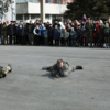 Участники федерации военно-тактических игр разыграли несколько сценок со стрельбой холостыми патронами — newsvl.ru