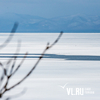 Более 30 рыбаков спасли с оторвавшейся льдины во Владивостоке (ВИДЕО)