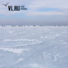 Выход на лед во Владивостоке в ближайшие теплые дни будет особенно опасным (ПАМЯТКА)