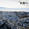 Вся городская грязь: почему во Владивостоке нельзя сбрасывать снег в море
