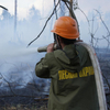На границе России, Китая и КНДР в Хасанском районе ликвидируют природный пожар