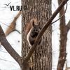 Сегодня во Владивостоке до -9 °С