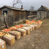 3,5 тонны краба, оружие и марихуану изъяли у браконьеров в Приморье (ФОТО)