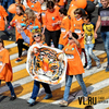 Мама, папа, я — тигриная семья: VL.ru объявляет конкурс фотографий с Дня тигра – 2017
