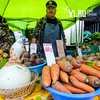 Ярмарка приморских продуктов питания развернулась на центральной площади Владивостока (ФОТО)